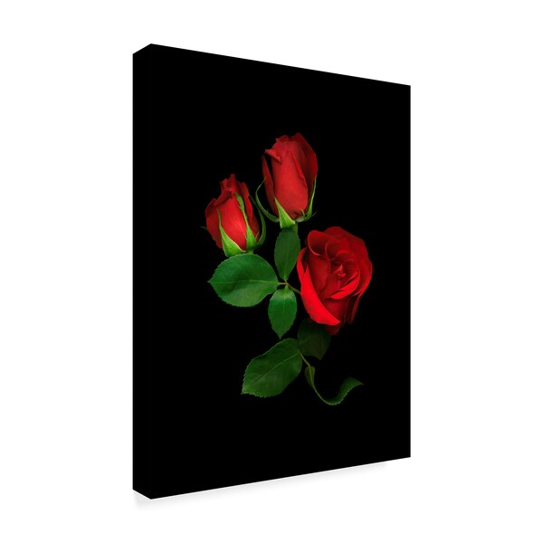 Susan S. Barmon 'Red Roses' Canvas Art,14x19